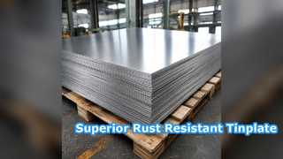 Premium Electrolytic Tinplate Coils for Paint Cans